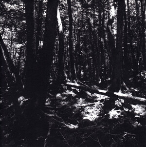 東京酒吐座　turnaround turnaround (10th Anniversary Re-Recording) - Album by 東京酒吐座
